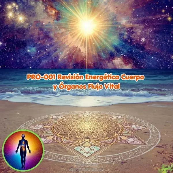 PRO-001 Revisión Energética Cuerpo y Órganos Flujo Vital - Image 2
